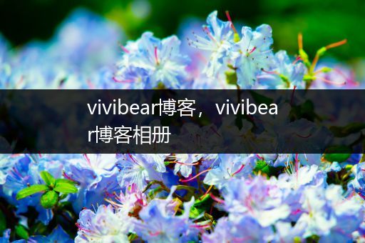 vivibear博客，vivibear博客相册