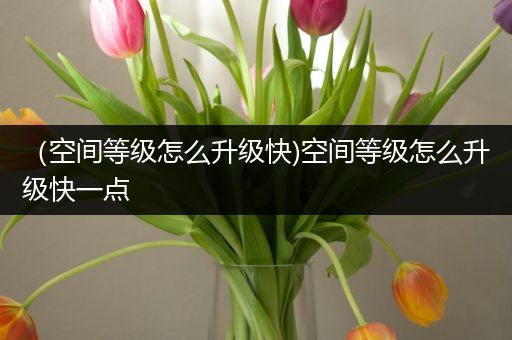 （空间等级怎么升级快)空间等级怎么升级快一点