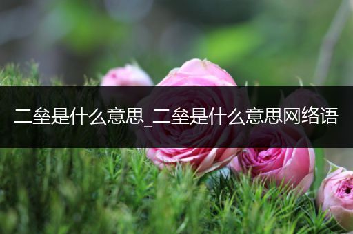 二垒是什么意思_二垒是什么意思网络语