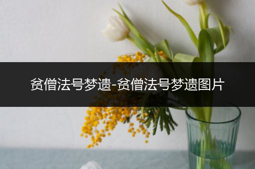 贫僧法号梦遗-贫僧法号梦遗图片