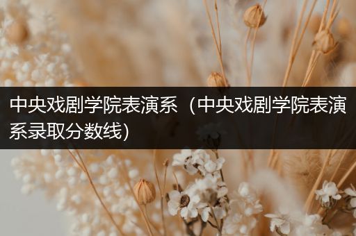 中央戏剧学院表演系（中央戏剧学院表演系录取分数线）
