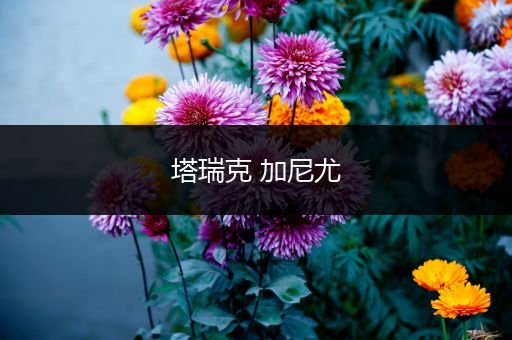 塔瑞克 加尼尤
