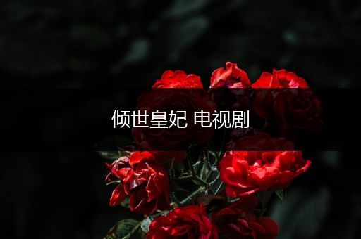 倾世皇妃 电视剧