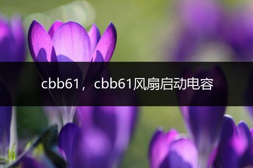cbb61，cbb61风扇启动电容