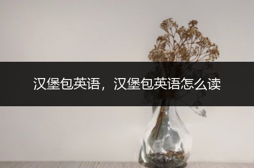 汉堡包英语，汉堡包英语怎么读