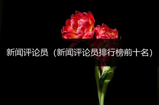 新闻评论员（新闻评论员排行榜前十名）