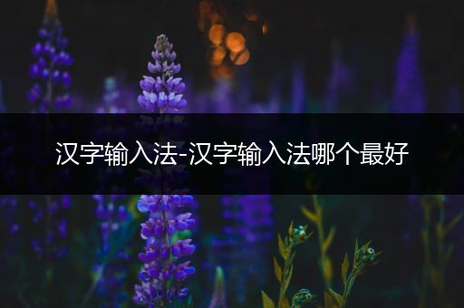 汉字输入法-汉字输入法哪个最好