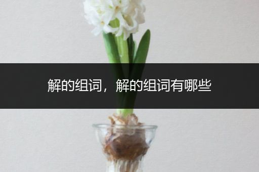 解的组词，解的组词有哪些