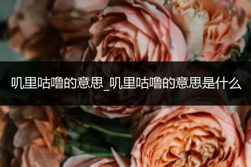 叽里咕噜的意思_叽里咕噜的意思是什么
