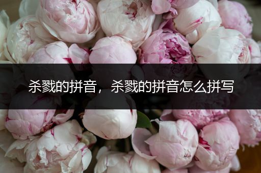 杀戮的拼音，杀戮的拼音怎么拼写