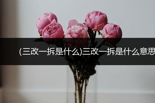 （三改一拆是什么)三改一拆是什么意思