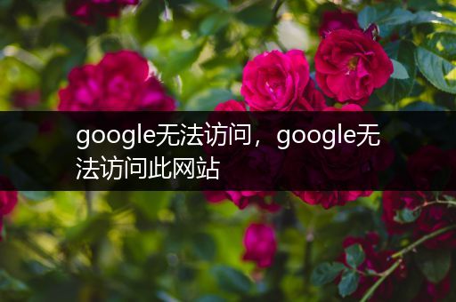 google无法访问，google无法访问此网站