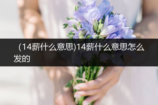 （14薪什么意思)14薪什么意思怎么发的