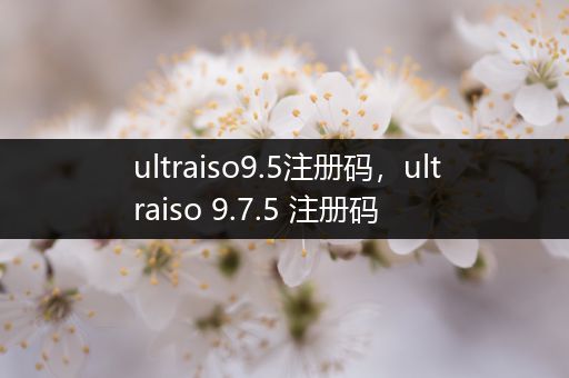 ultraiso9.5注册码，ultraiso 9.7.5 注册码