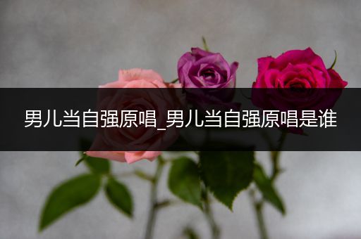 男儿当自强原唱_男儿当自强原唱是谁