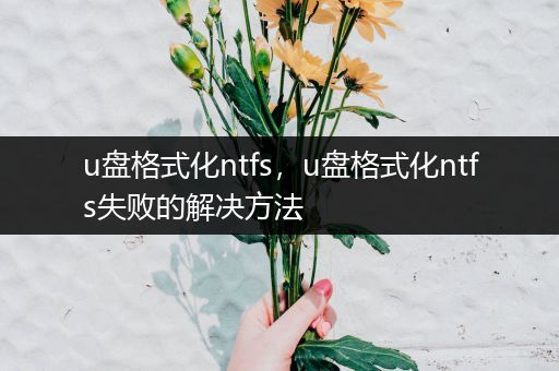 u盘格式化ntfs，u盘格式化ntfs失败的解决方法