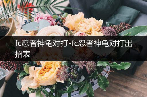 fc忍者神龟对打-fc忍者神龟对打出招表