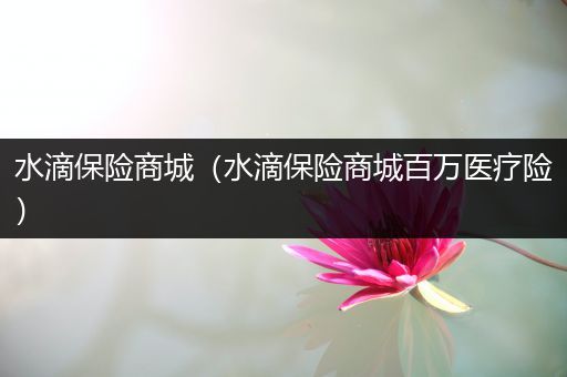 水滴保险商城（水滴保险商城百万医疗险）