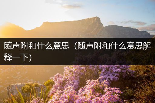 随声附和什么意思（随声附和什么意思解释一下）
