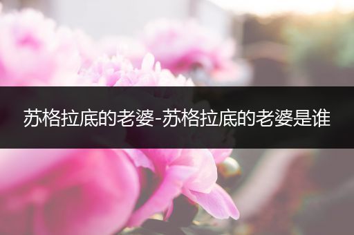 苏格拉底的老婆-苏格拉底的老婆是谁