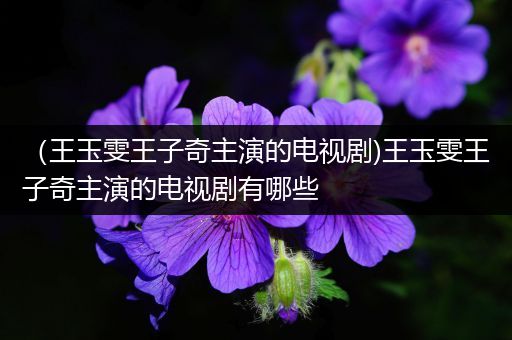 （王玉雯王子奇主演的电视剧)王玉雯王子奇主演的电视剧有哪些