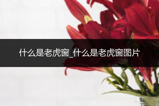 什么是老虎窗_什么是老虎窗图片