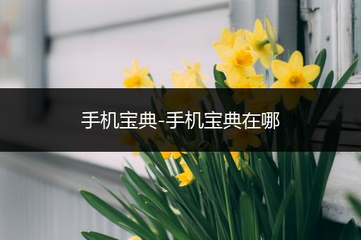手机宝典-手机宝典在哪