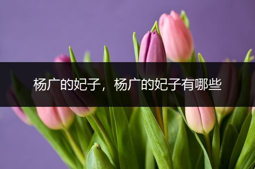 杨广的妃子，杨广的妃子有哪些
