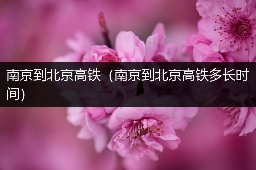 南京到北京高铁（南京到北京高铁多长时间）