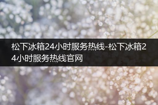 松下冰箱24小时服务热线-松下冰箱24小时服务热线官网