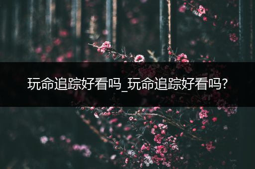 玩命追踪好看吗_玩命追踪好看吗?