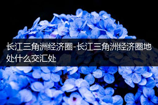 长江三角洲经济圈-长江三角洲经济圈地处什么交汇处