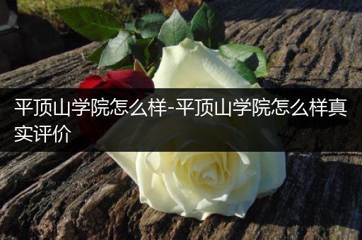 平顶山学院怎么样-平顶山学院怎么样真实评价