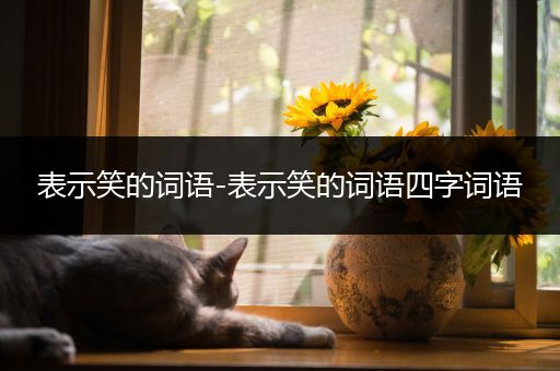 表示笑的词语-表示笑的词语四字词语