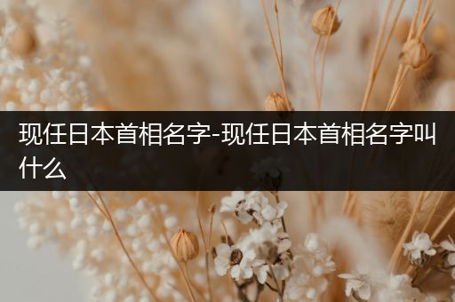 现任日本首相名字-现任日本首相名字叫什么