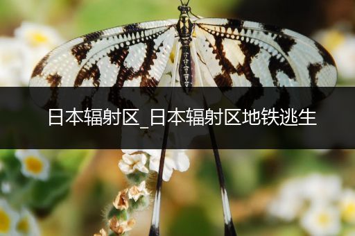 日本辐射区_日本辐射区地铁逃生