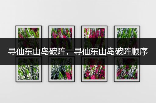 寻仙东山岛破阵，寻仙东山岛破阵顺序