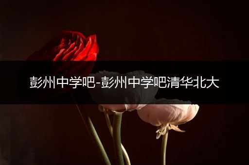 彭州中学吧-彭州中学吧清华北大