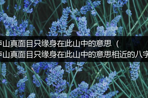 不识庐山真面目只缘身在此山中的意思（不识庐山真面目只缘身在此山中的意思相近的八字成语）