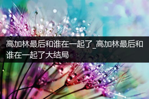 高加林最后和谁在一起了_高加林最后和谁在一起了大结局