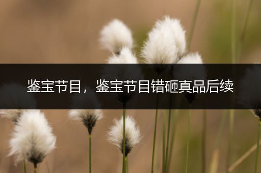 鉴宝节目，鉴宝节目错砸真品后续