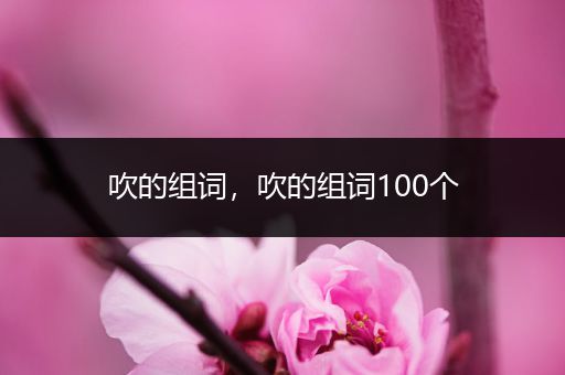吹的组词，吹的组词100个