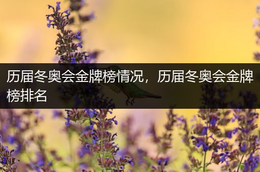 历届冬奥会金牌榜情况，历届冬奥会金牌榜排名