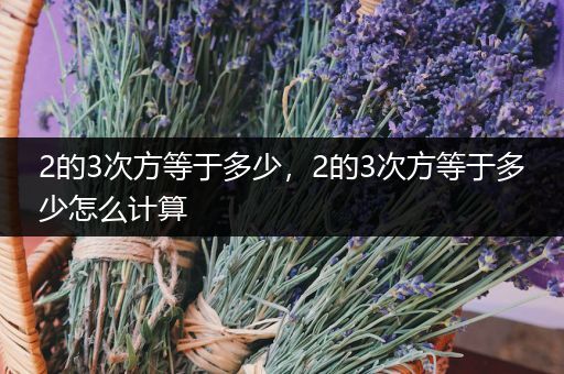 2的3次方等于多少，2的3次方等于多少怎么计算
