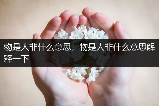 物是人非什么意思，物是人非什么意思解释一下