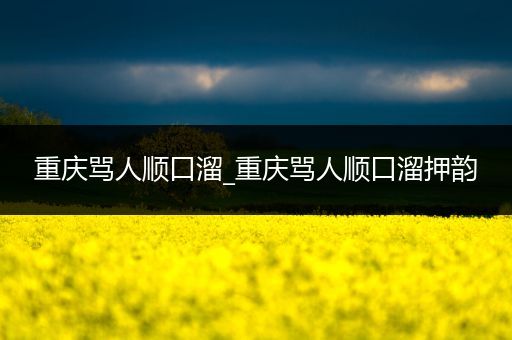 重庆骂人顺口溜_重庆骂人顺口溜押韵