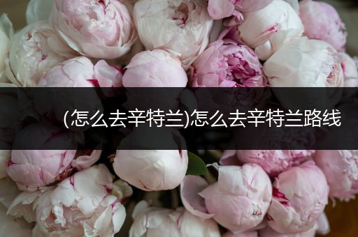 （怎么去辛特兰)怎么去辛特兰路线