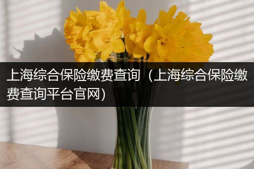 上海综合保险缴费查询（上海综合保险缴费查询平台官网）