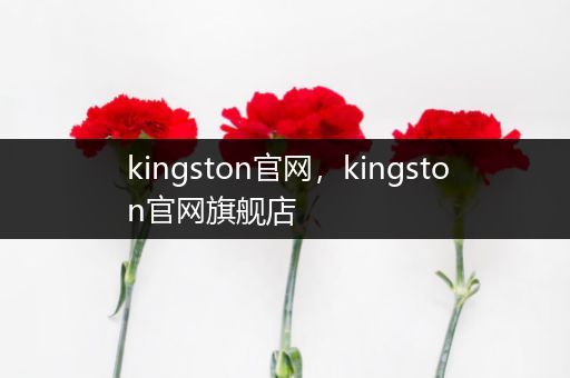 kingston官网，kingston官网旗舰店