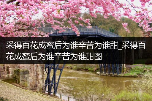 采得百花成蜜后为谁辛苦为谁甜_采得百花成蜜后为谁辛苦为谁甜图